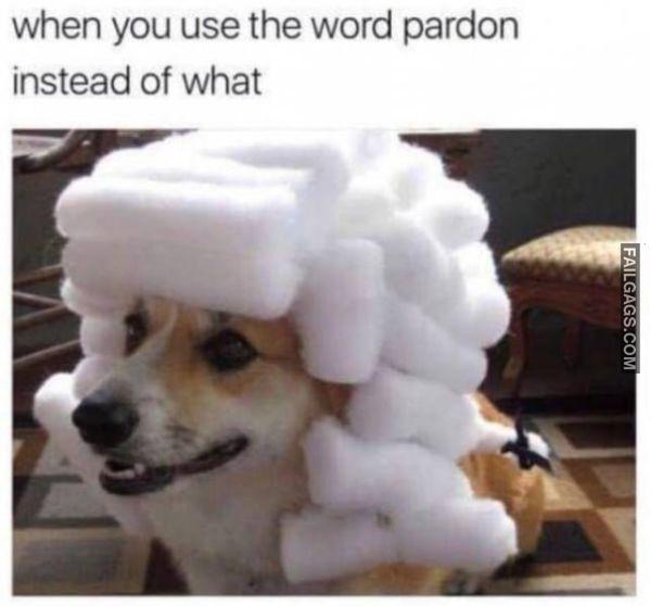 Random Funny Memes 8 5