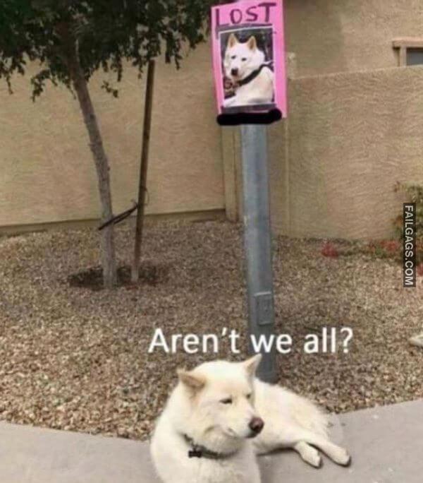 Random Funny Memes 9 6