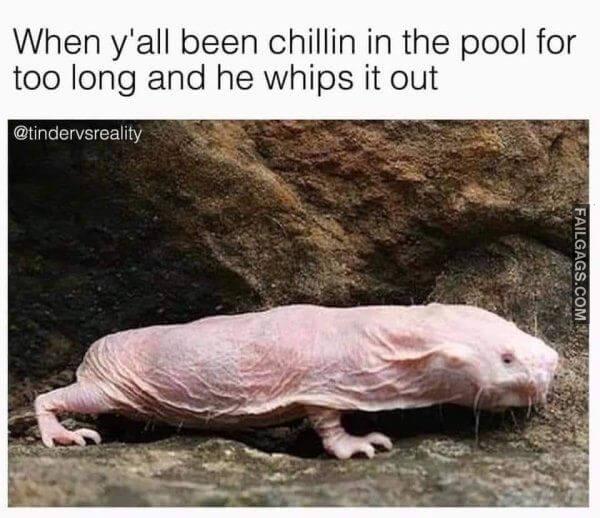 Random Funny Memes 9 9