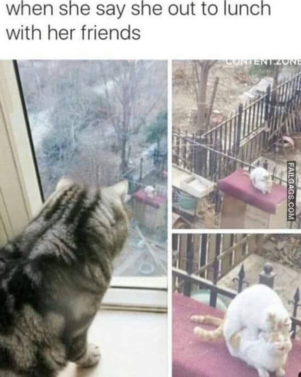 Funny Adult Memes 12 1