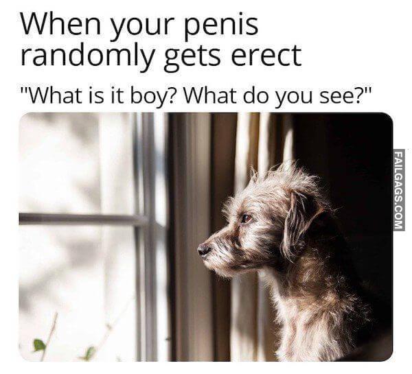 Funny Adult Memes 7 1