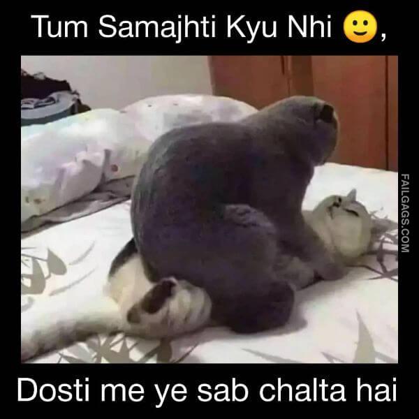 Funny Desi Adult Memes 1