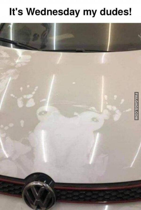 Funny Dirty Memes 13