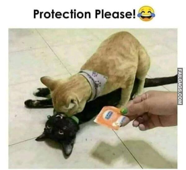 Funny Hindi Adult Memes 11