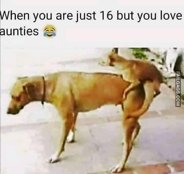 Funny Hindi Adult Memes 7