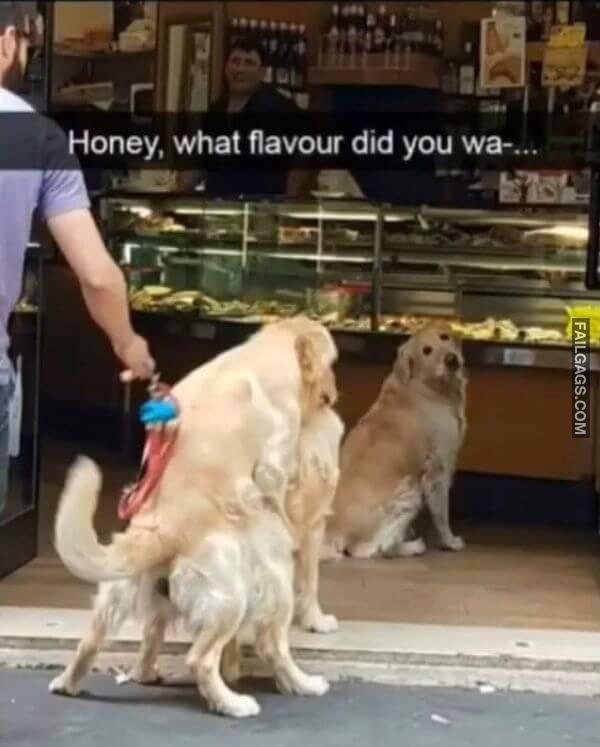 Honey What Flavour Did You Wa... Adult Memes