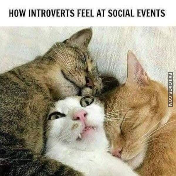 Random Funny Memes 1 2