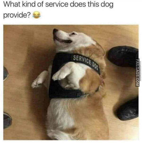 Random Funny Memes 1 3