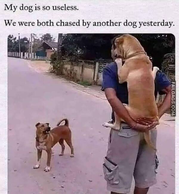 Random Funny Memes 10 1