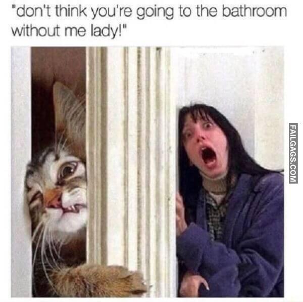 Random Funny Memes 10 9