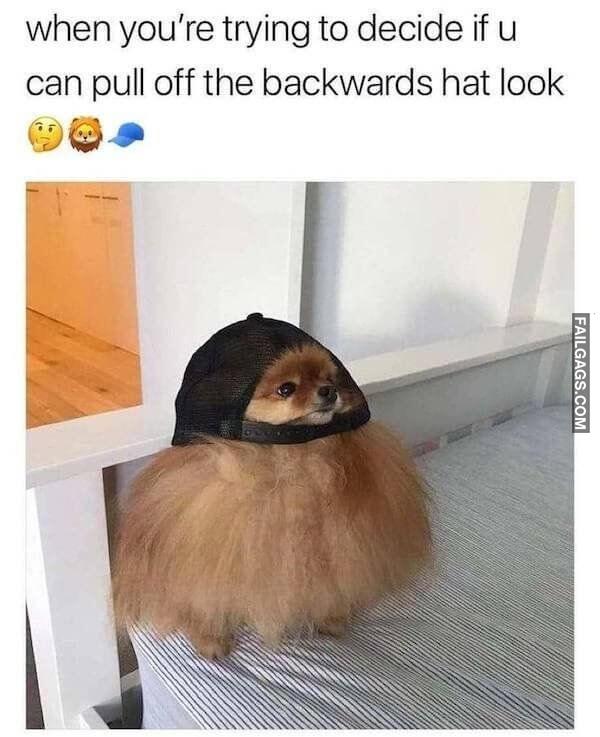 Random Funny Memes 11 8