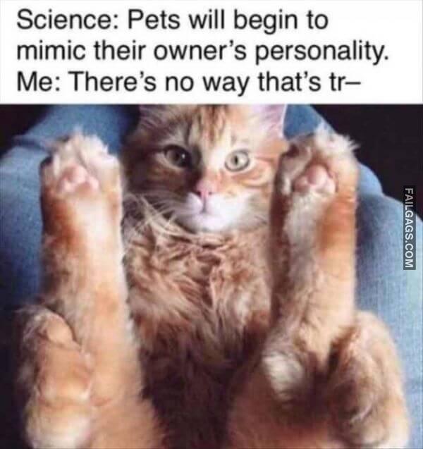 Random Funny Memes 12 1