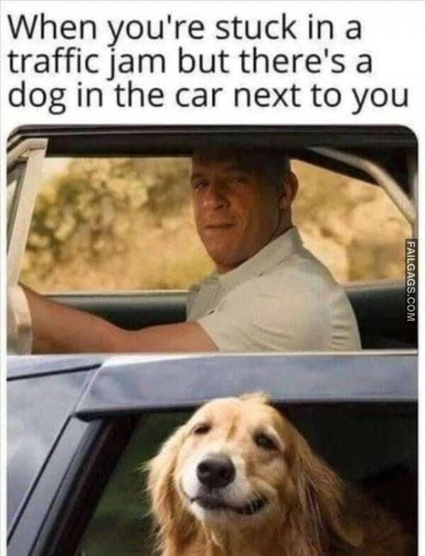 Random Funny Memes 13 1