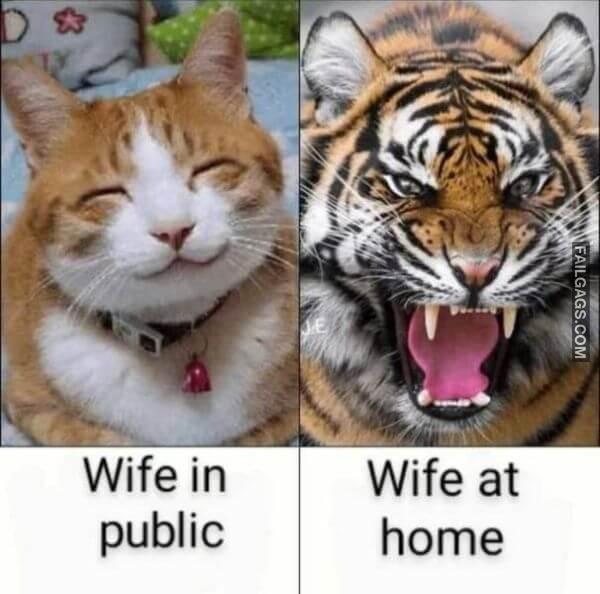 Random Funny Memes 3 3