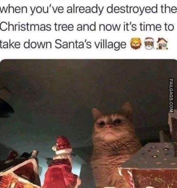 Random Funny Memes 6 2