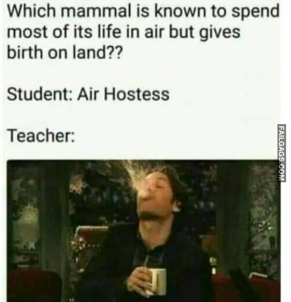 Random Funny Memes 6 6