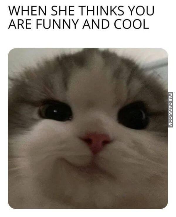 Random Funny Memes 6