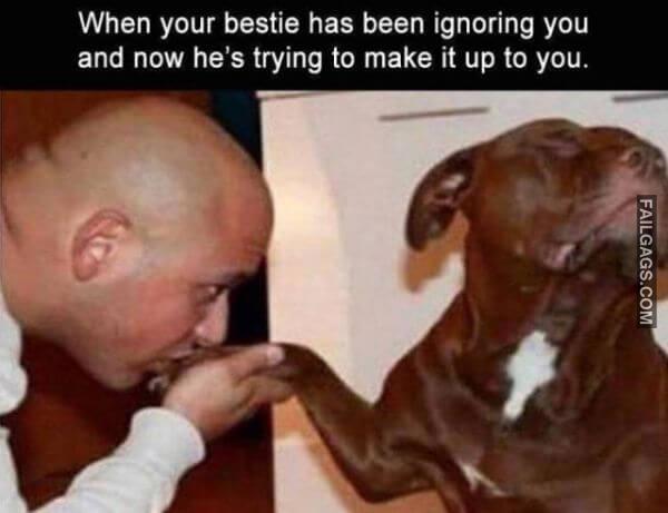Random Funny Memes 8 1