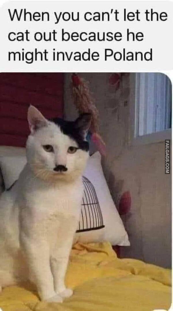 Random Funny Memes 8 5
