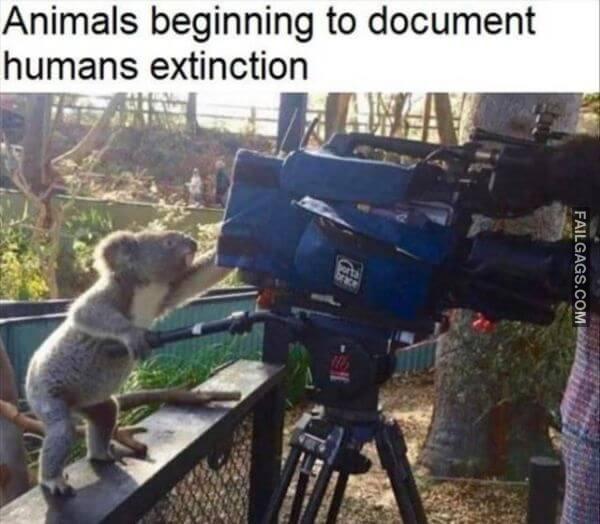 Random Funny Memes 9 1