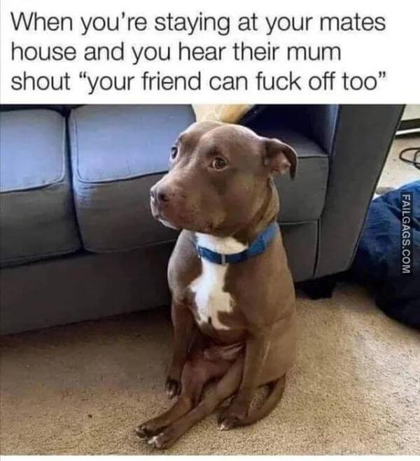 Random Funny Memes 9 2