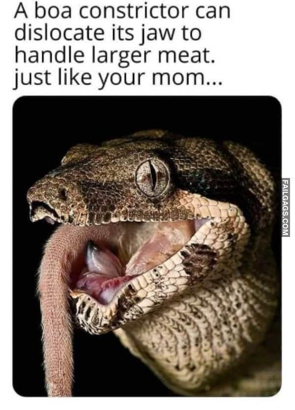 Funny Adult Memes 1 1
