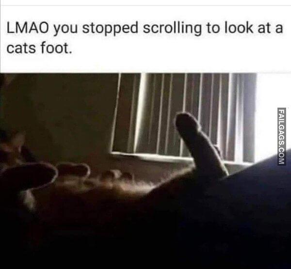 Funny Adult Memes 6 4