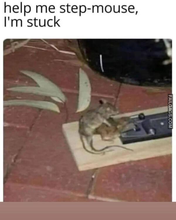 Funny Adult Memes 6