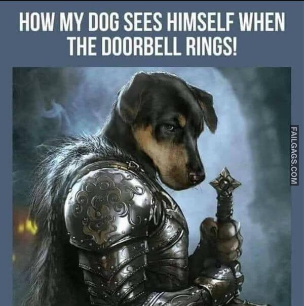 Funny Adult Memes 7 3