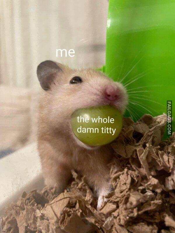 Funny Dirty Memes 18 13