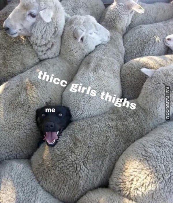 Funny Dirty Memes 18 6