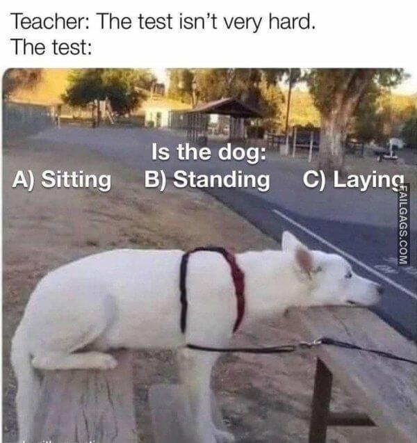 Random Funny Memes 1 12