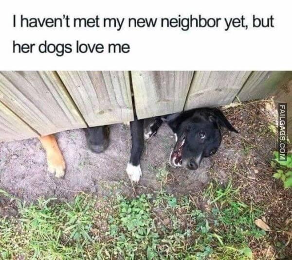Random Funny Memes 10 11