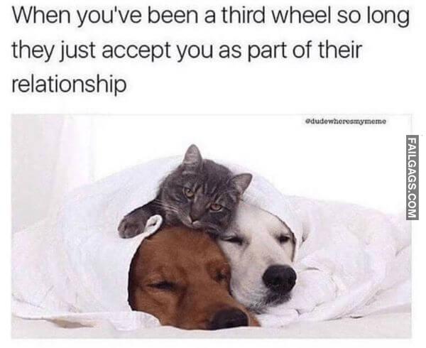 Random Funny Memes 11 10