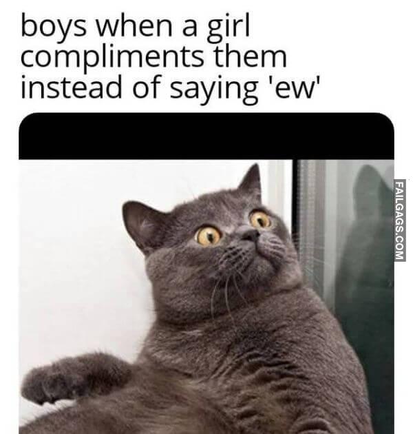 Random Funny Memes 12 9