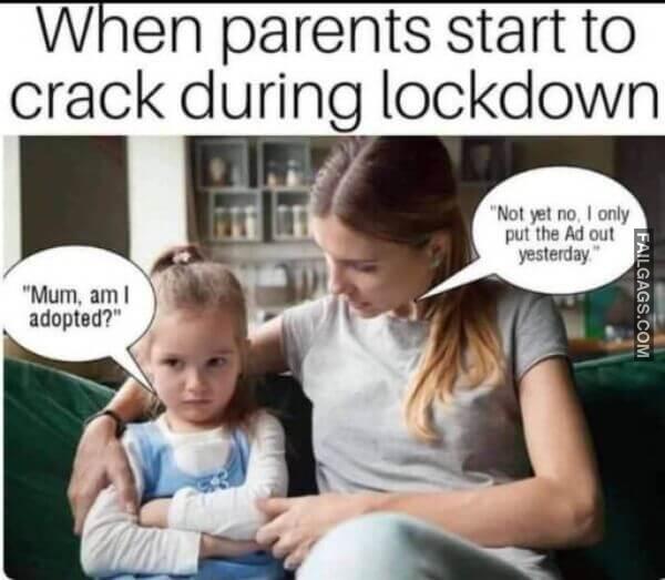Random Funny Memes 13 2