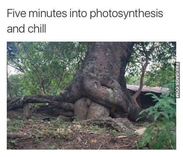 Random Funny Memes 14 4