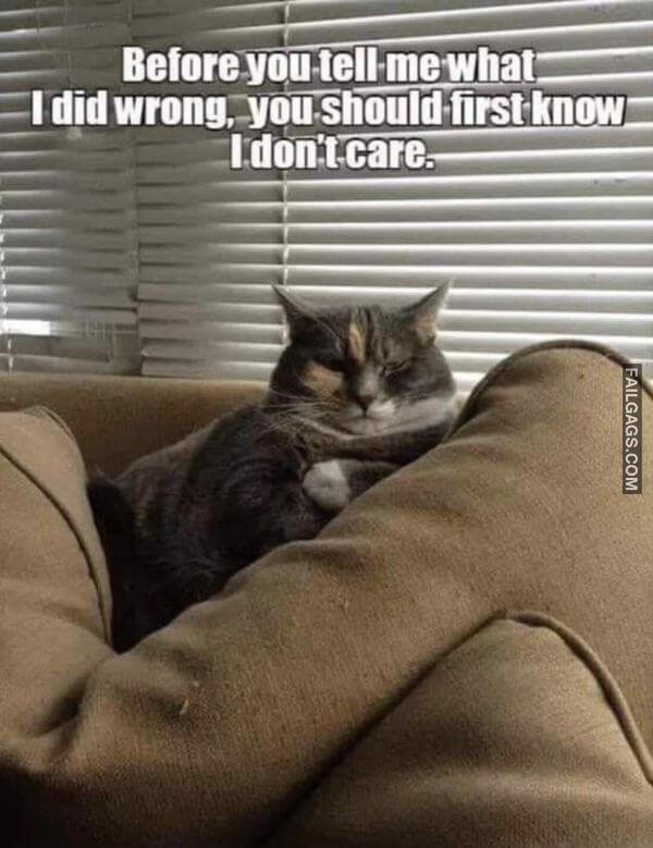 Random Funny Memes 2 11