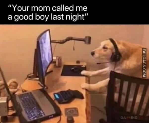 Random Funny Memes 2 4