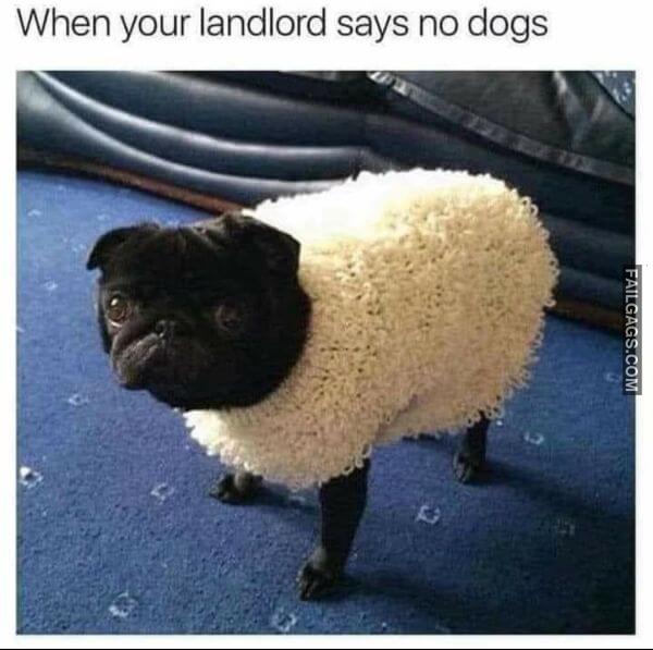Random Funny Memes 8 10