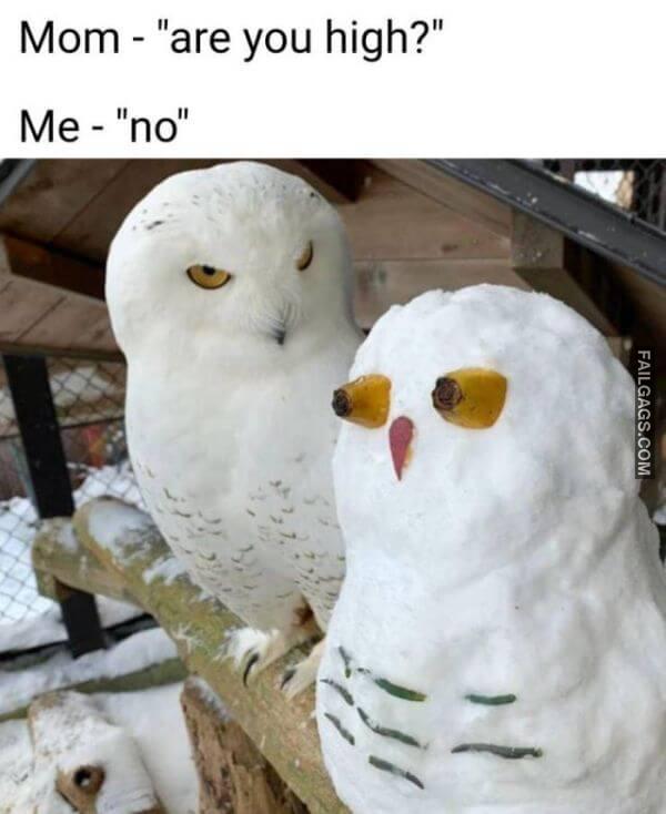 Random Funny Memes 8 2