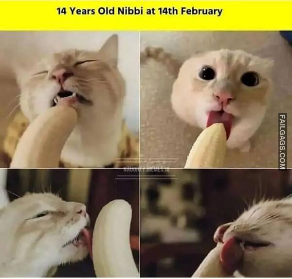 Dirty Indian Memes 14