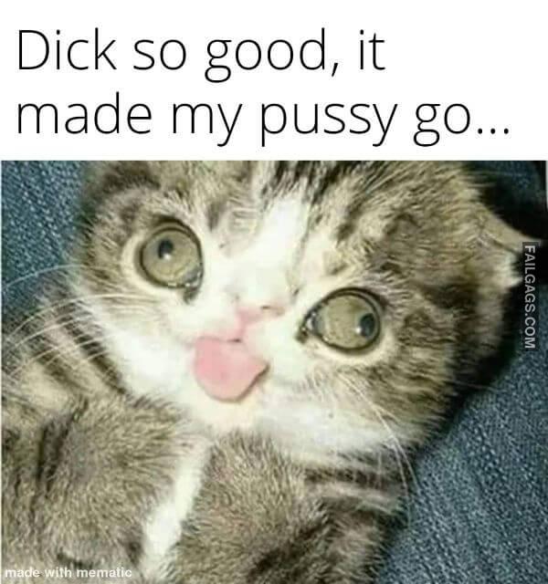 Funny Adult Memes 3