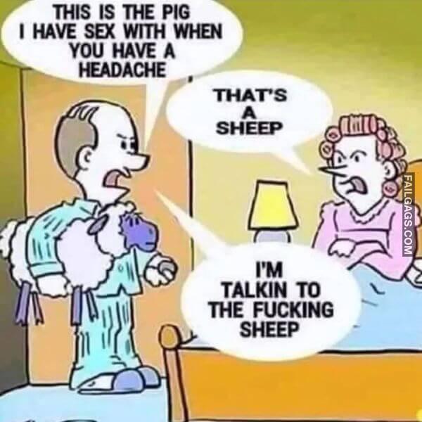 Funny Memes for Grown Ups 12