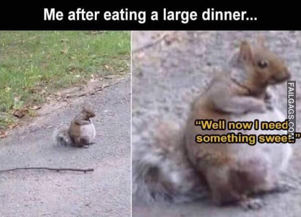 Random Funny Memes 10 1