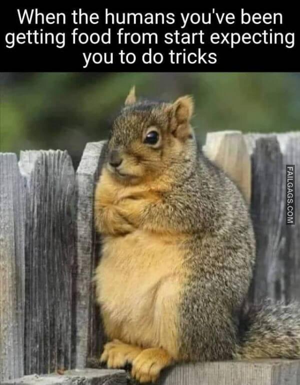 Random Funny Memes 12 5