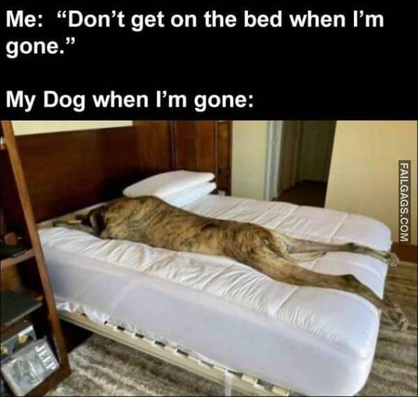 Random Funny Memes 13 3