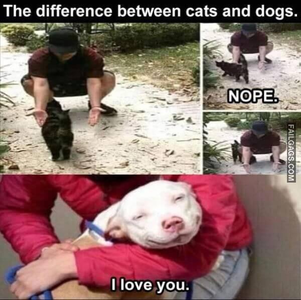 Random Funny Memes 3 3