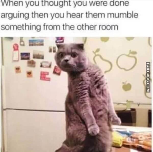 Random Funny Memes 3 5