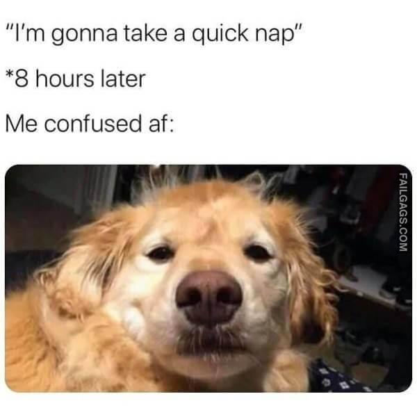 Random Funny Memes 4 1